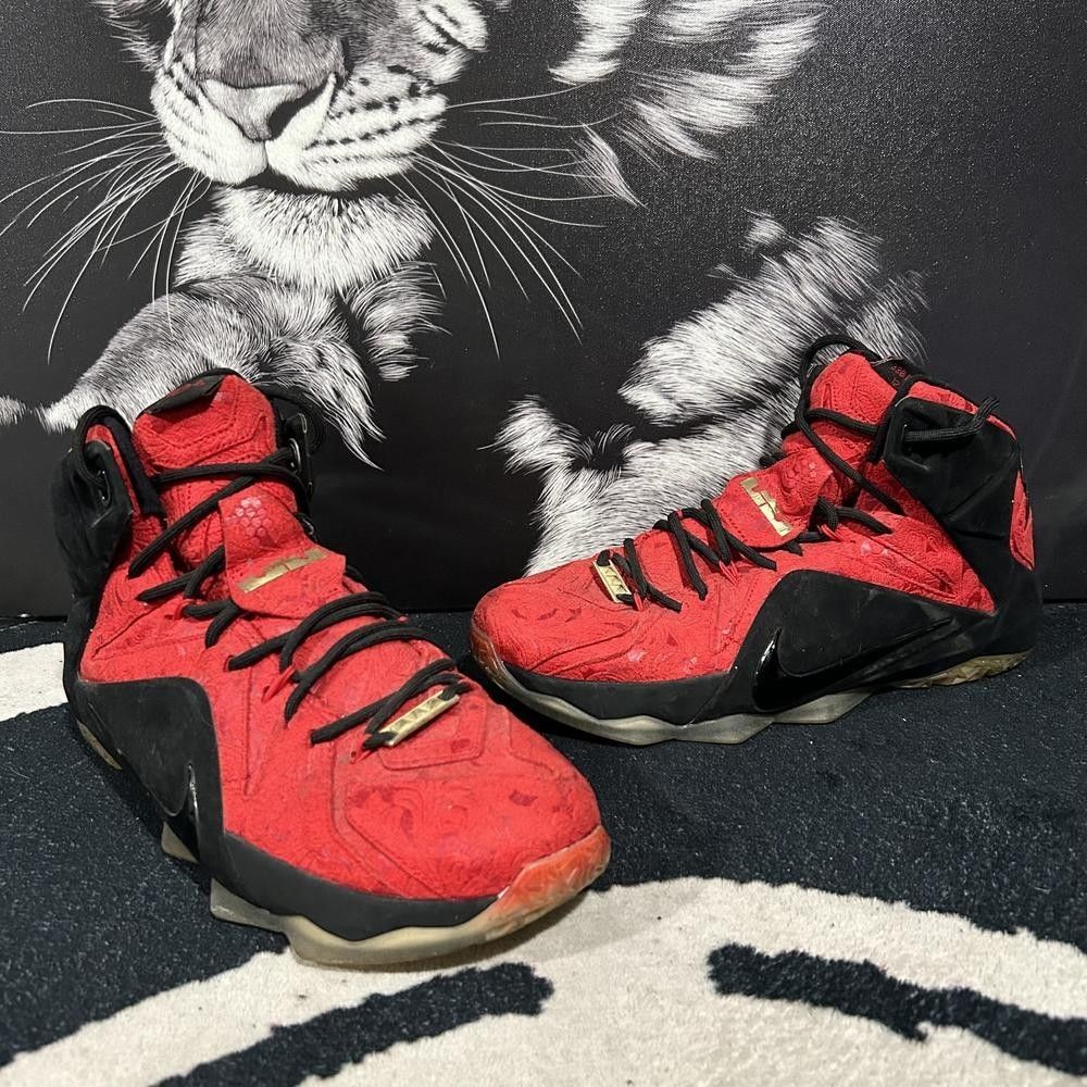 Nike LeBron 12 EXT 748861-600 Athletic Sneaker Men's 11 Red Paisley Basketball